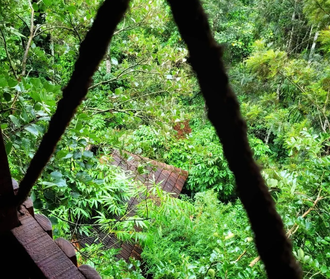 Villa Greens Tree House & Wood House Sultan Bathery India