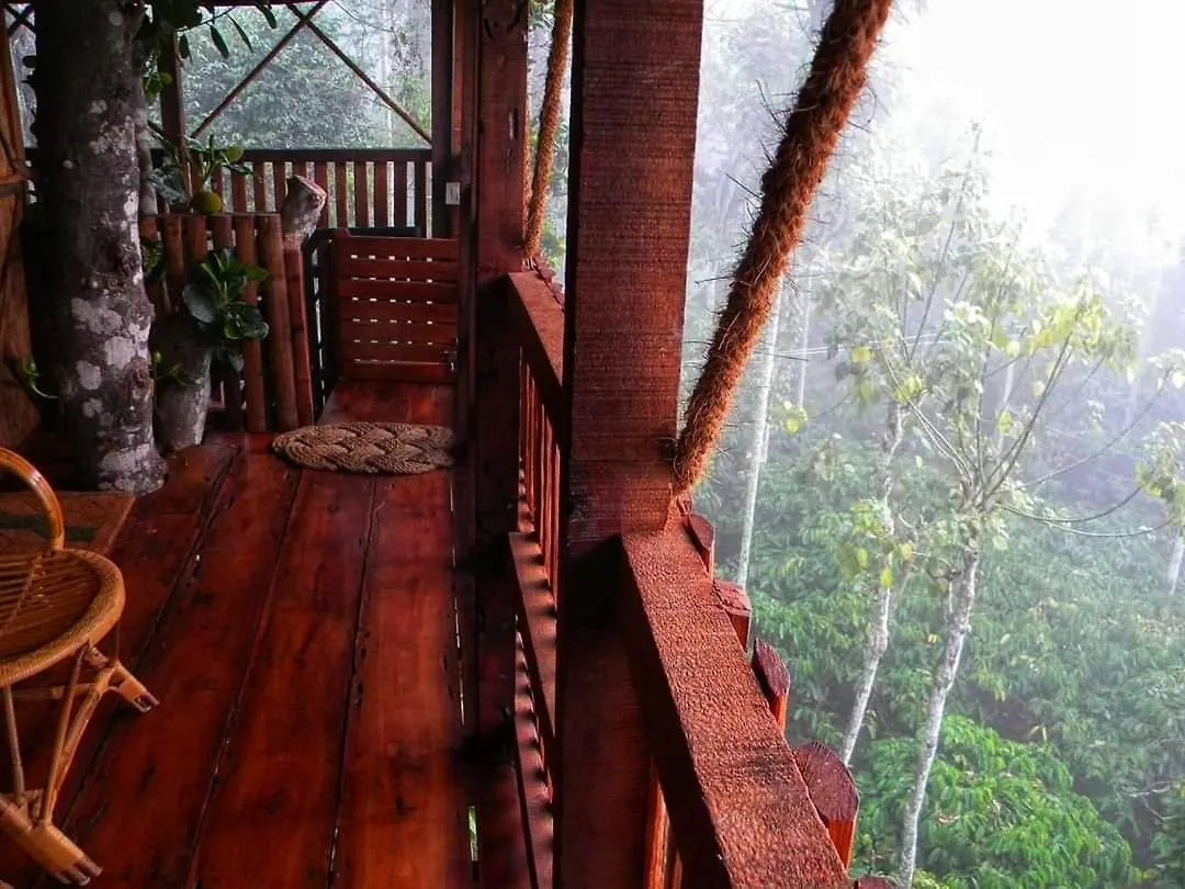 Greens Tree House & Wood House Sultan Bathery 0*,  India