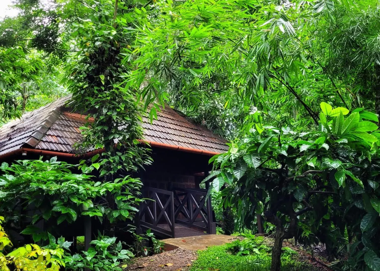 Greens Tree House & Wood House Sultan Bathery 0*,  India