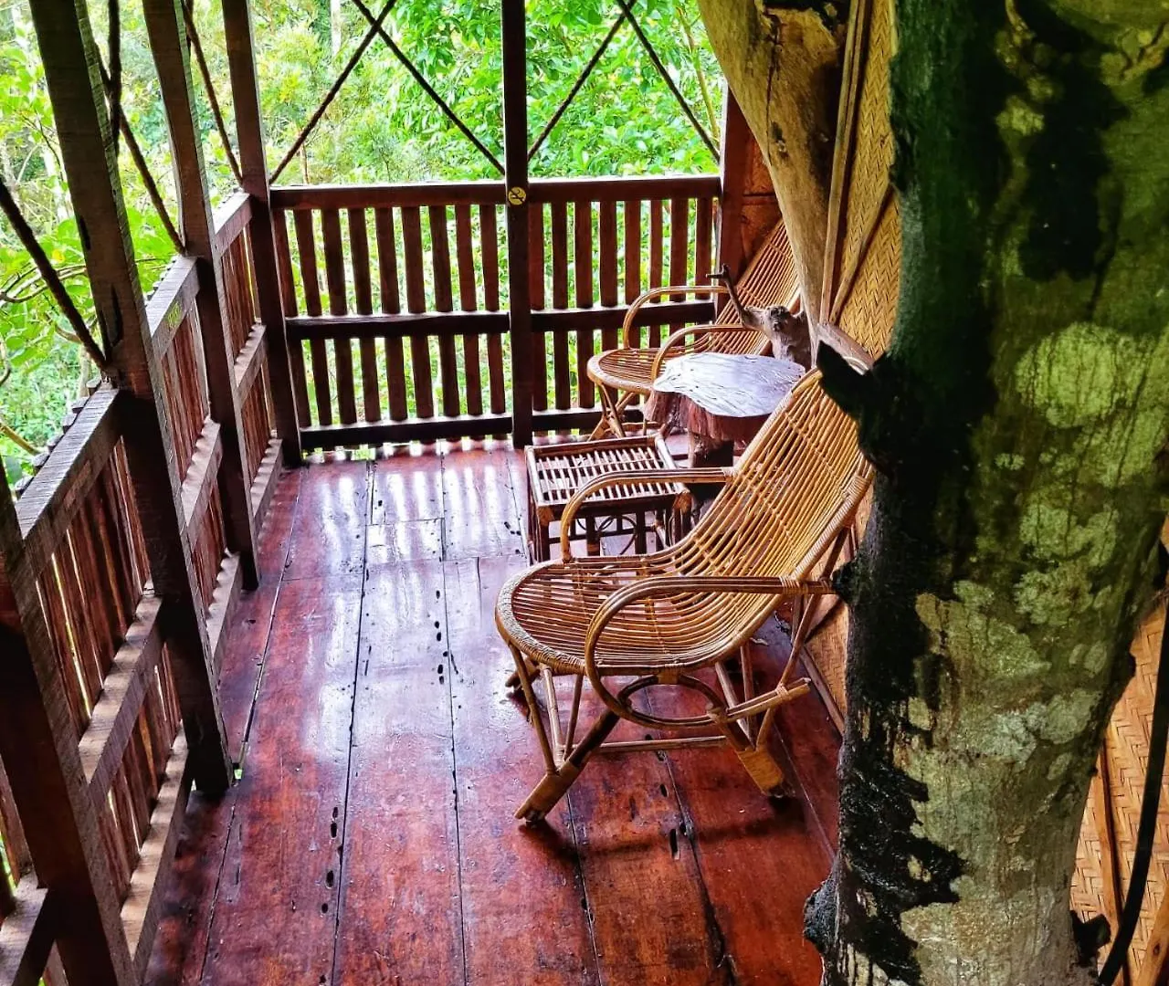 Greens Tree House & Wood House Sultan Bathery 0*,