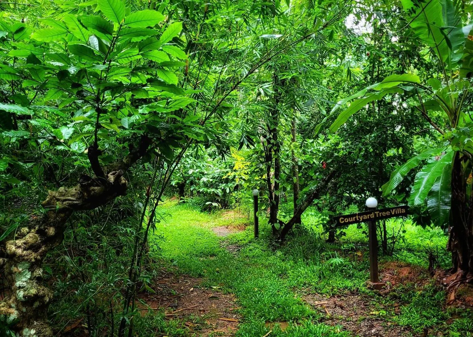 Villa Greens Tree House & Wood House Sultan Bathery India