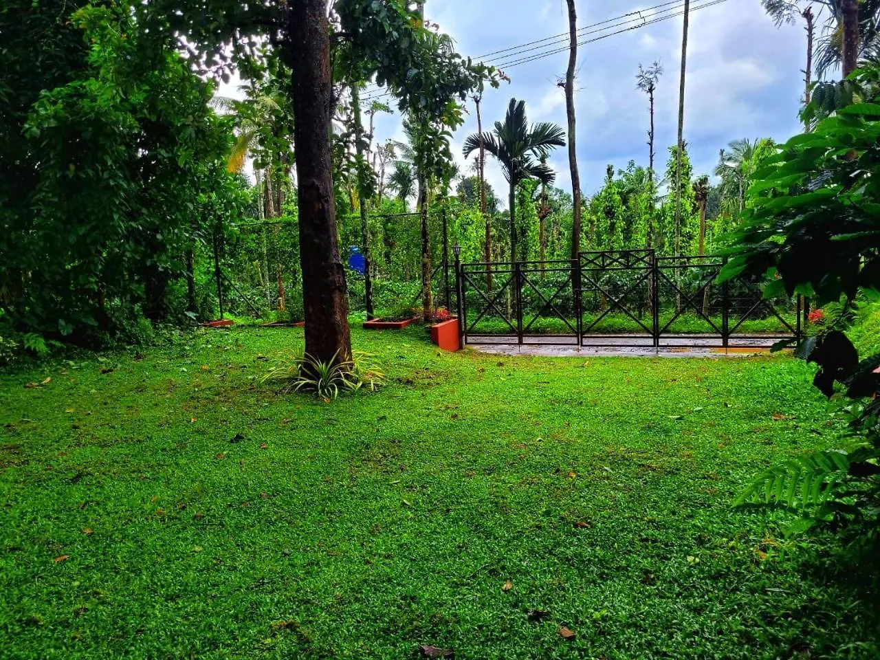 Villa Greens Tree House & Wood House Sultan Bathery