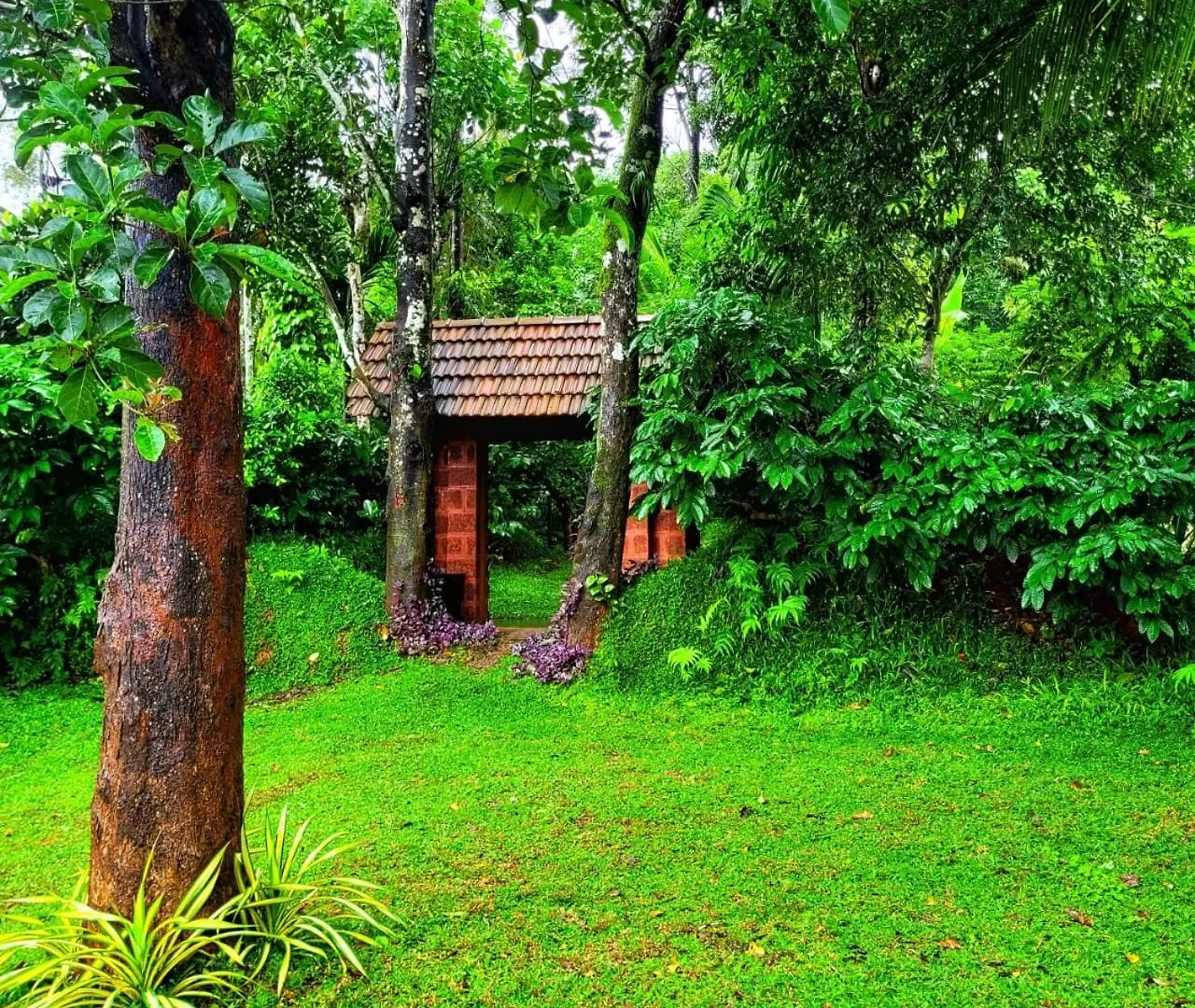 Greens Tree House & Wood House Sultan Bathery Villa