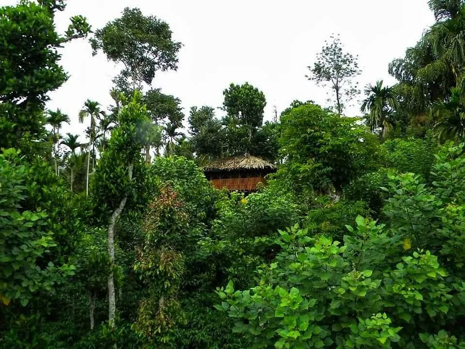 Greens Tree House & Wood House Sultan Bathery 0*,  India
