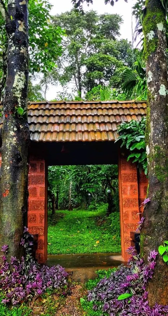 Greens Tree House & Wood House Sultan Bathery Villa