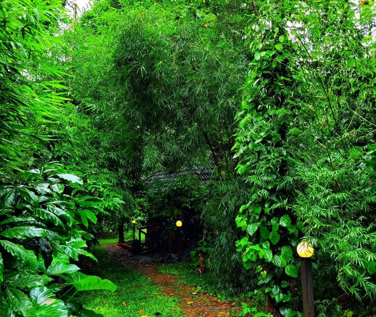 Greens Tree House & Wood House Sultan Bathery