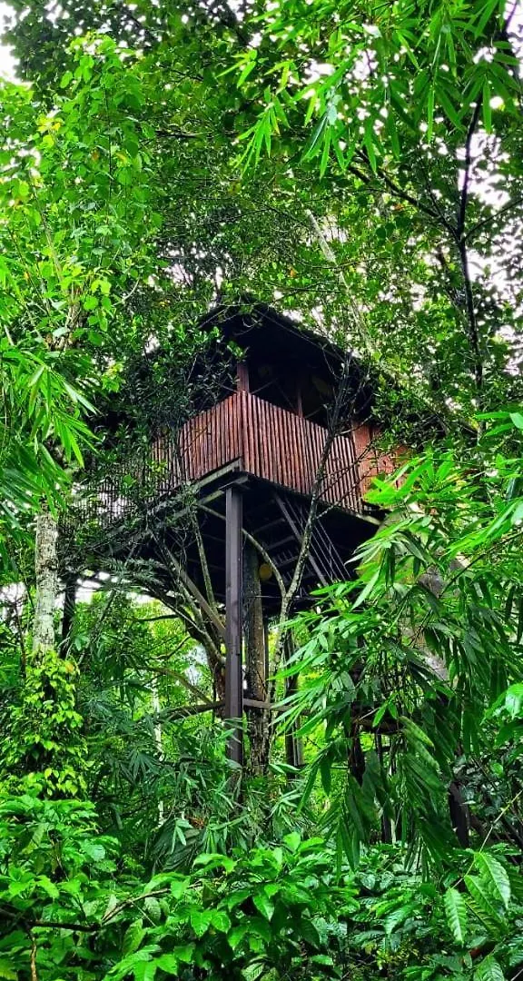 Greens Tree House & Wood House Sultan Bathery