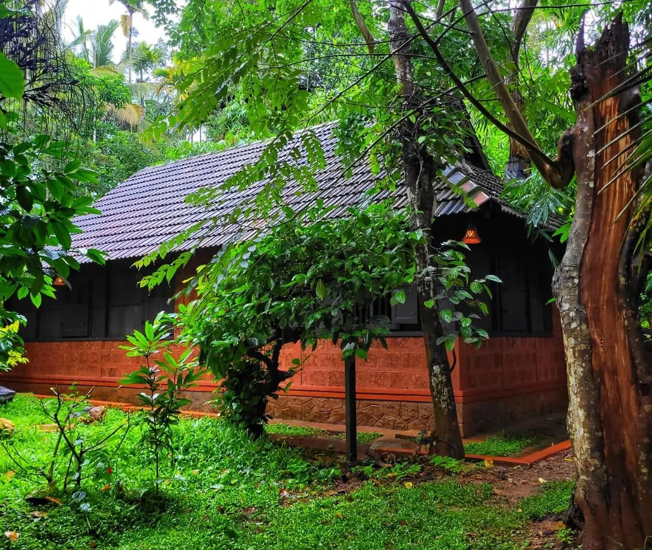 Villa Greens Tree House & Wood House Sultan Bathery India