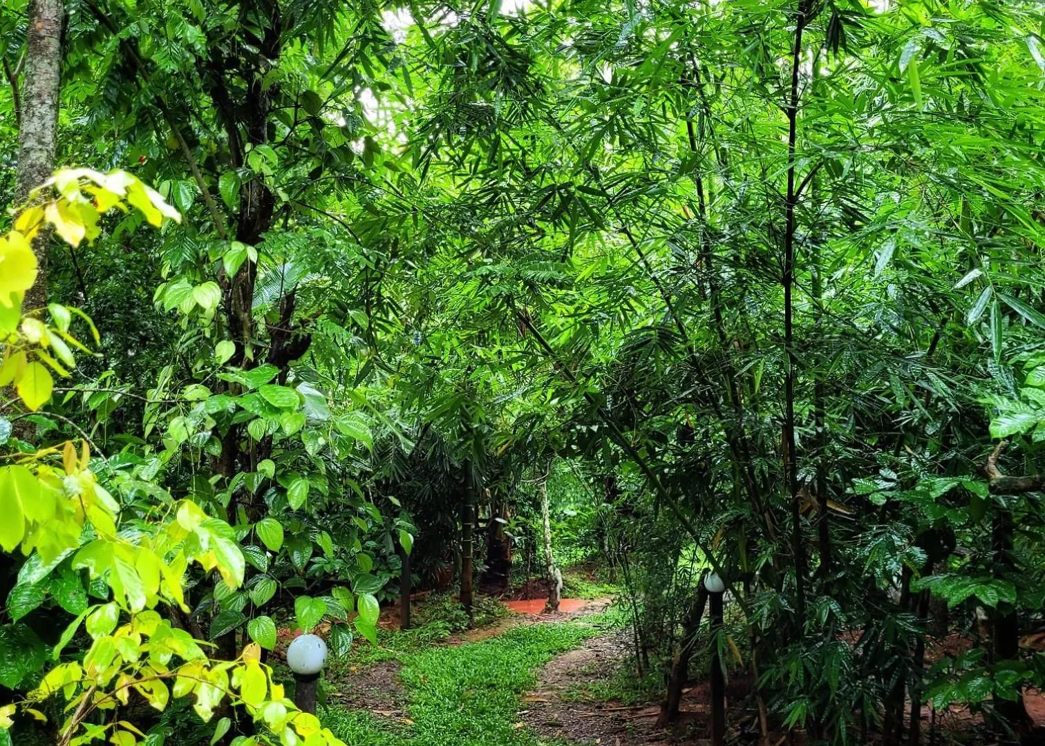Greens Tree House & Wood House Sultan Bathery