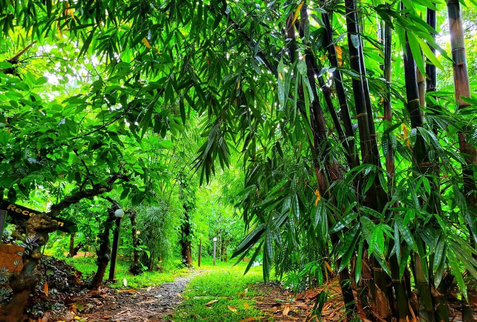 Greens Tree House & Wood House Sultan Bathery 0*,  India