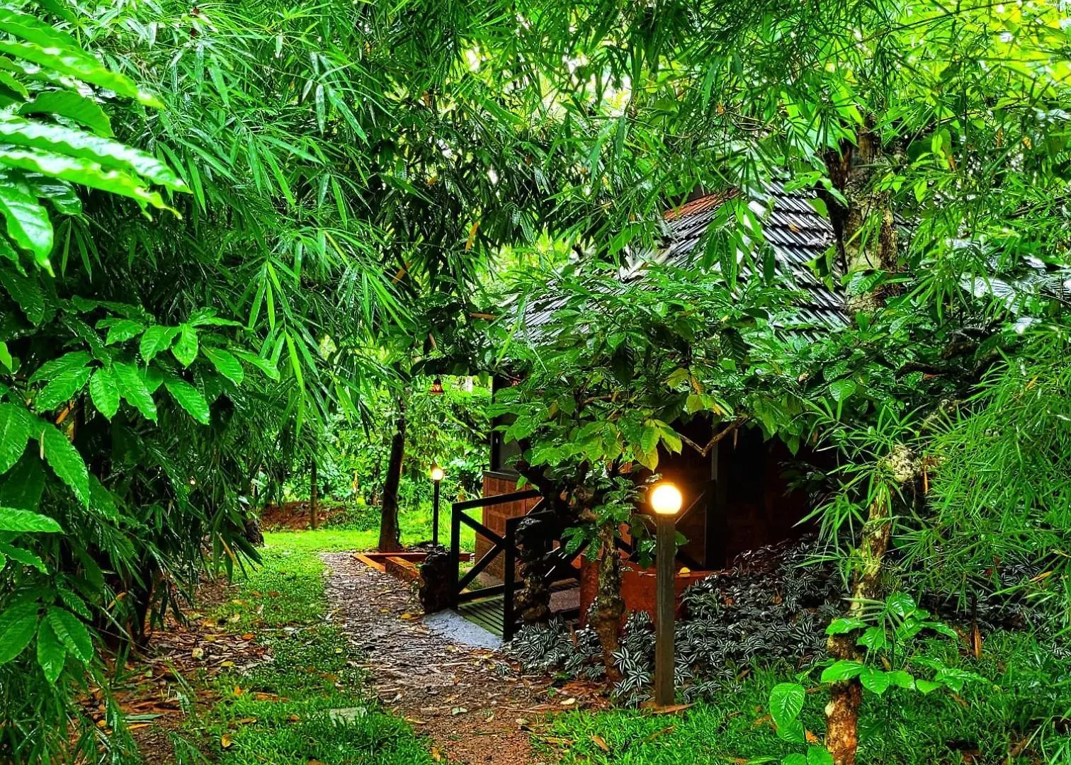 Greens Tree House & Wood House Sultan Bathery